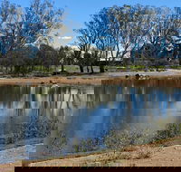 Lake King Wetlands at Rutherglen - Accommodation Ballina
