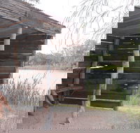 Martin Bend Wetland and Walking Trail - Accommodation Ballina