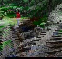 Montezuma Falls - Accommodation Ballina