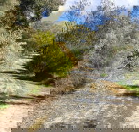 Naracoorte North Nature Park - Accommodation Ballina