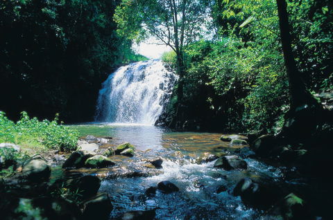 Pepina Falls - Accommodation Ballina 0