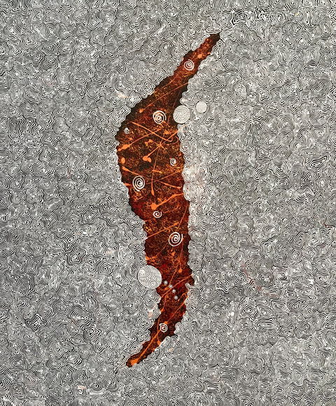 Red Poles Art Gallery - Accommodation Ballina 0