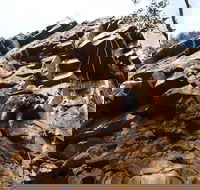 Rock Climbing in Morialta - Accommodation Ballina