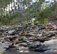 Rocksberg Park Heritage Reserve - Accommodation Ballina