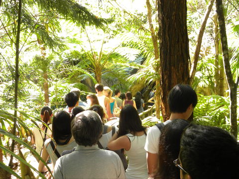 Tamborine Mountain Glow Worm Tours - Accommodation Ballina 1