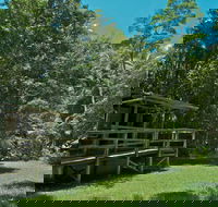 Terania Creek Picnic Area - Accommodation Ballina