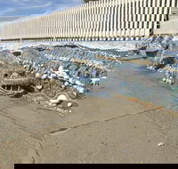 The Nambucca Heads Mosaic - Accommodation Ballina