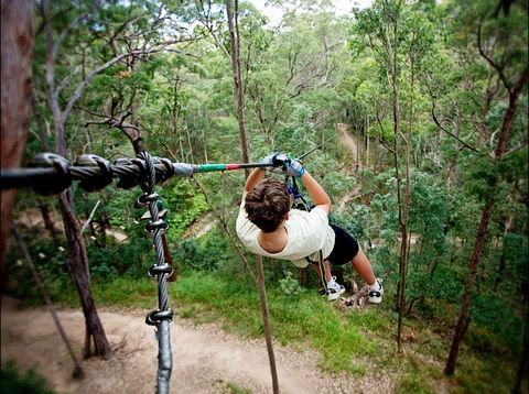 TreeTop Challenge - Accommodation Ballina 0