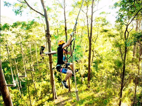 TreeTop Challenge - Accommodation Ballina 1