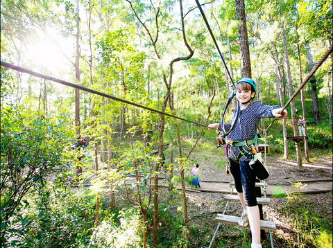 TreeTop Challenge - Accommodation Ballina 2