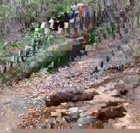 Turner Hill Mountain Bike Trail Murray - Accommodation Ballina