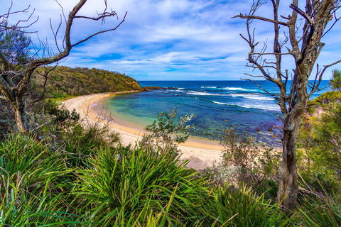 Bendalong (Inyadda) Beach - Accommodation Ballina 0