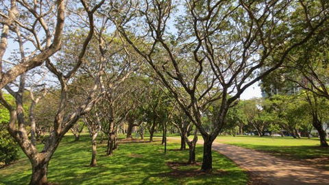 Bicentennial Park - Accommodation Ballina 1