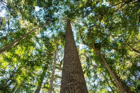 Big Sky National Parks - Accommodation Ballina 0