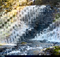 Bridal Veil Champagne and No Name Falls - Accommodation Ballina