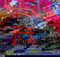Cherry Blossom Festival - World Square - Accommodation Ballina