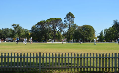 Cootamundra Cricketing Exploration - Accommodation Ballina 0