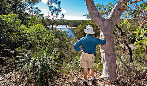 Corkwood And Scribbly Gum Walking Track - Accommodation Ballina 0