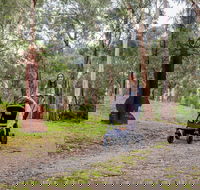 Currawong Bush Park - Accommodation Ballina