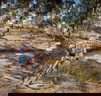 Cycle Mogo State Forest - Accommodation Ballina