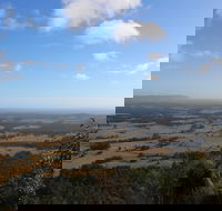 Heaton State Forest - Watagan Mountains - Accommodation Ballina