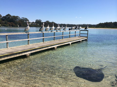 Kayaking Tomaga River - Accommodation Ballina 2