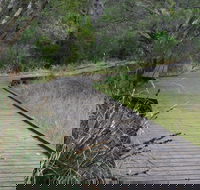 Leschenault Peninsula Conservation Park - Accommodation Ballina