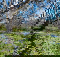 Macquarie Valley Trails - Accommodation Ballina