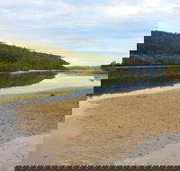 Mangrove Walk - Accommodation Ballina