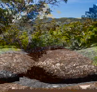 Marramarra Ridge to Smugglers Ridge walking track