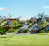 Moore Park Golf Course - Accommodation Ballina
