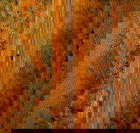 Newcastle Waters - Accommodation Ballina