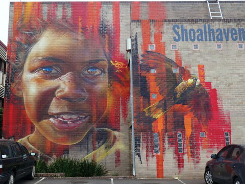 Nowra Street Art Murals - Accommodation Ballina 0