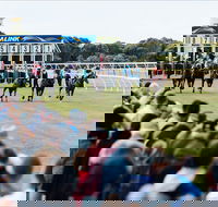 Oakbank - Accommodation Ballina