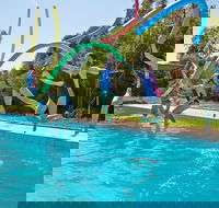 Oaklands War Memorial Swimming Pool - Accommodation Ballina