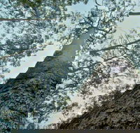 O'Sullivans Gap Picnic Area - Accommodation Ballina