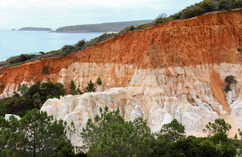Pinnacles Loop Walking Track - Accommodation Ballina 0