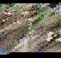 Queanbeyan Park Market - Accommodation Ballina