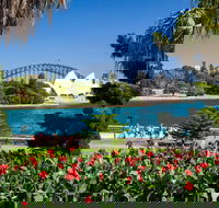 Royal Botanic Garden and the Domain - Accommodation Ballina