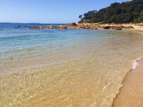 Shelly Beach Picnic Area - Moruya Heads - Accommodation Ballina 0
