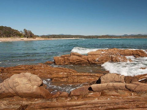 Shelly Beach Picnic Area - Moruya Heads - Accommodation Ballina 1