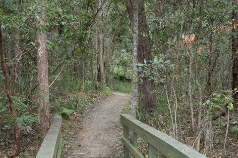 Springwood Conservation Park - Accommodation Ballina 0