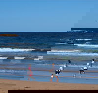 Surf Beach Batemans Bay - Accommodation Ballina