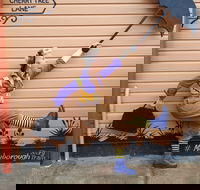 The Story Bank - Accommodation Ballina