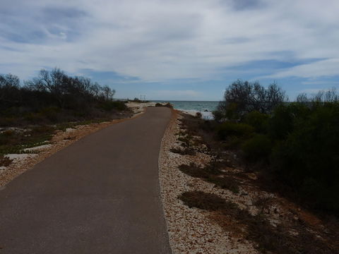 Turquoise Way Trail, Jurien Bay - Accommodation Ballina 0