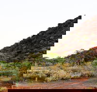 Whyalla Conservation Park - Accommodation Ballina