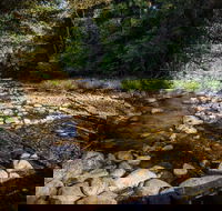 Wilson River picnic area - Accommodation Ballina