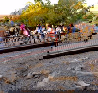 Australian Age of Dinosaurs - Accommodation Ballina