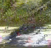 Berry Springs - Accommodation Ballina