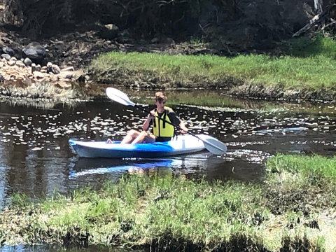 Bilya Walk Track - Accommodation Ballina 1